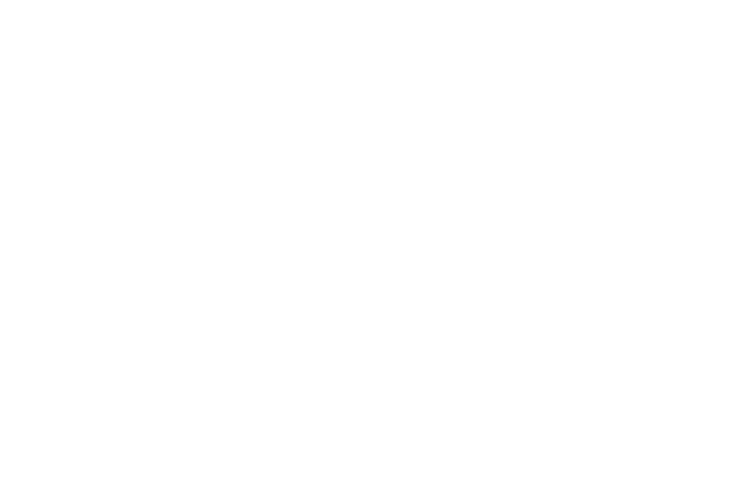 Springboks-logo